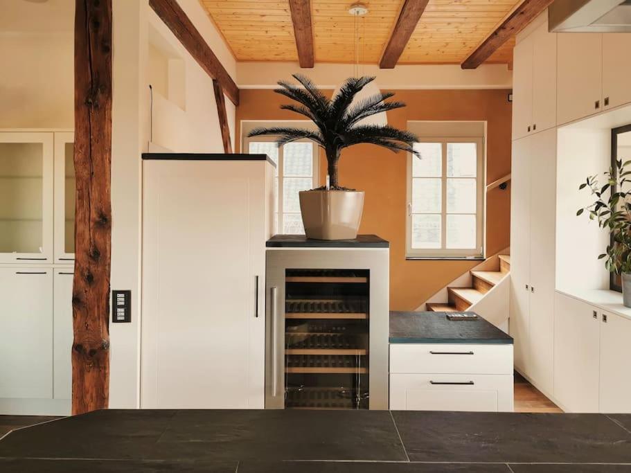 Apartment Luxus Mit Blick Ueber Im Zentrum Erfurt